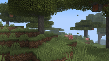 Savanna Biome