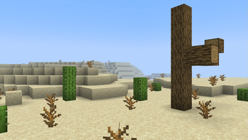 Desert
