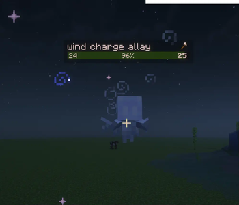 Trade with wind charge allay！