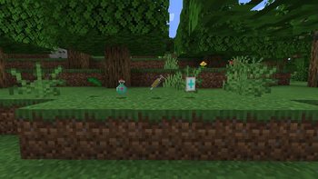 Health Restoration Items