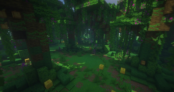 Jungle biome inside