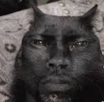 nekos_gf