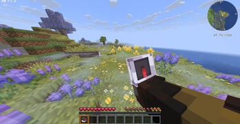 First-person view