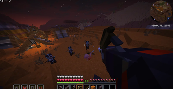 First-person view