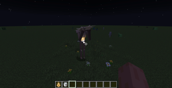Mourning the Night
