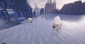 Baby polar bear