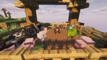 Baby farm animals