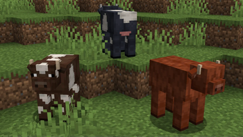 Cows 2