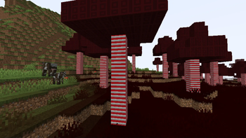 Overworld Biome