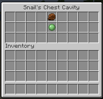 Snail's Chest Cavity