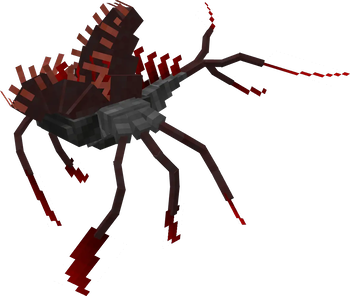 Kraken