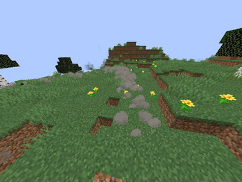 Dirt trail