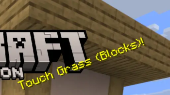 Touch Grass (Blocks)!