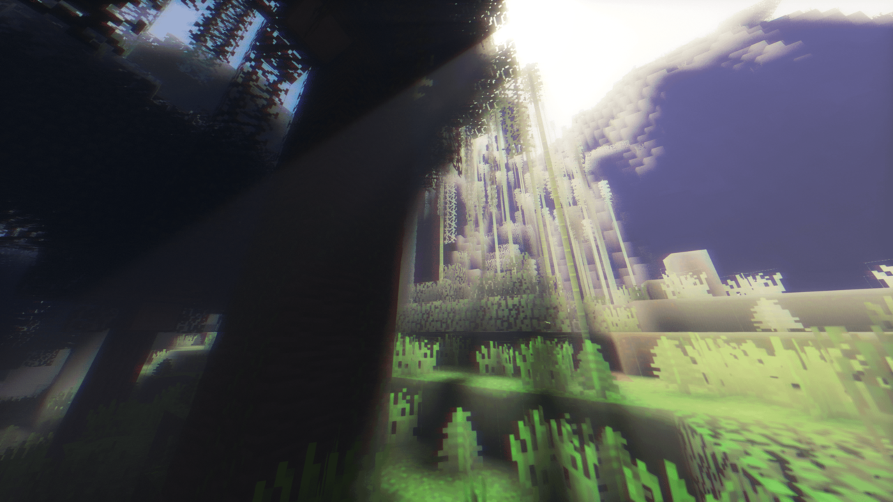 lightshafts coming trough the leaves on a humid jungle