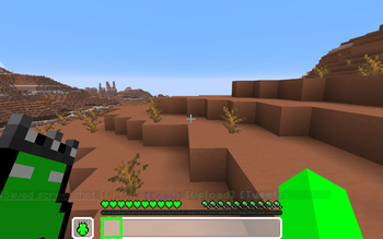 Hotbar + Totem First Person