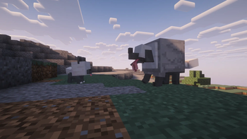 Woolipup and Lupelt