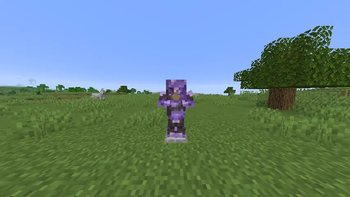 Netherite Amethysted Armor