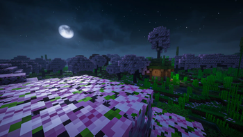 Small house in the cherry biome