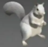 Taht_Guy999