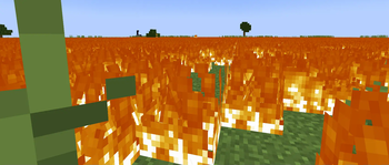 The Wildfire