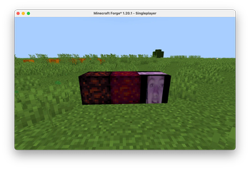 The Blocks