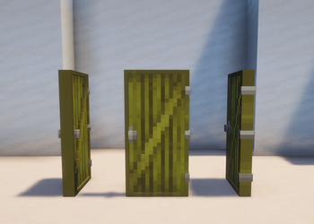 Palo Verde Door (NS)