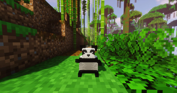 Panda Plushie