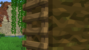 3D Ladder