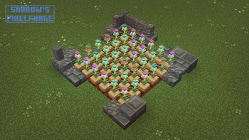 Pitcher Plant Crop variants
