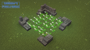 Lily of the Valley variants