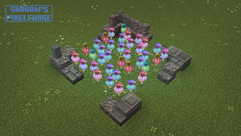 Pitcher Plant variants