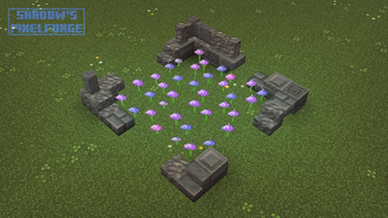 Allium variants