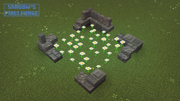 Oxeye Daisy variants