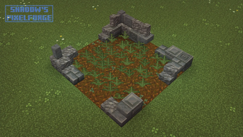 Fern variants