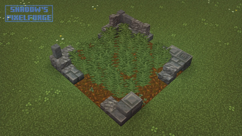 Large Fern variants