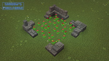 Red Tulip variants