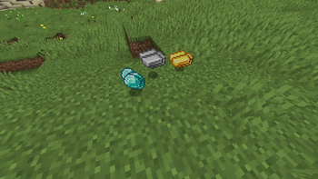 Optional 2D items