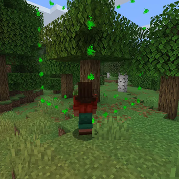 Border around the Tree the Mod has identified