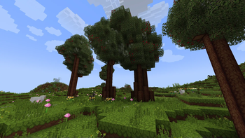 Appletrees :D!