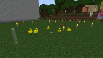 Duck Family
