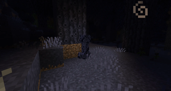 Ominous Forest