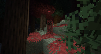 Maple Woods
