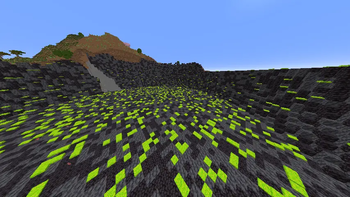 The crater