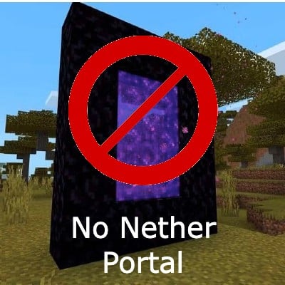 No Nether Teleport