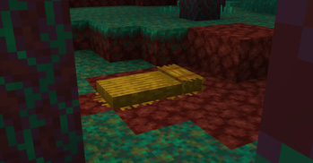 Straw bed in it's new natural habitat.