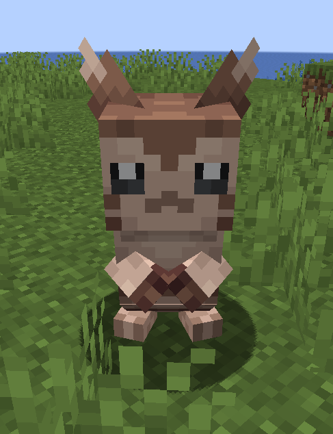 Furret