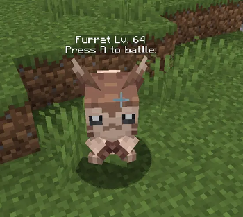 Furret