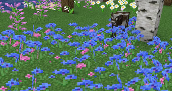 Bloom | Variated Flowers — screenshot 1