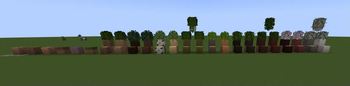 All Leaves, Grass, Dirt, And Wood