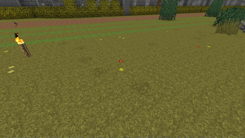 Random grass block textures, including flowers